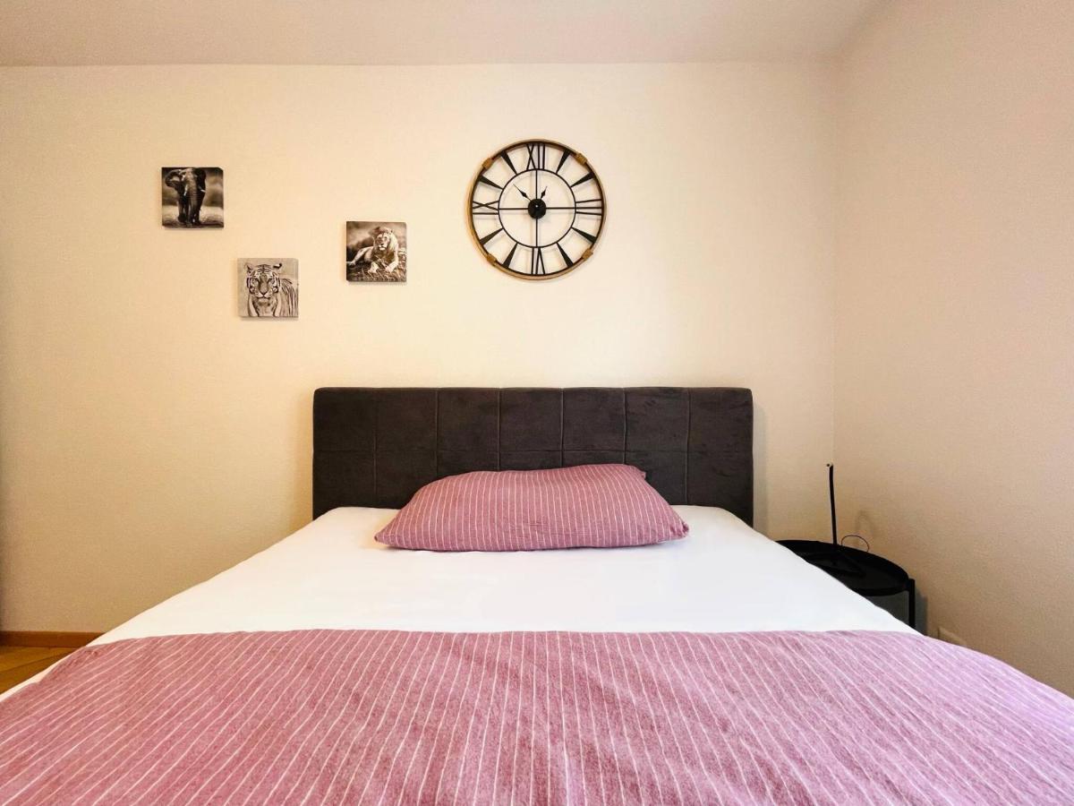 Beautiful, Bright, Large Apartment With Balcony Smarttv St. Gallen Eksteriør bilde